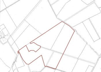 pontassieve terreno.jpg - Terreno agricolo Via Aretina, Pontassieve - foto 2