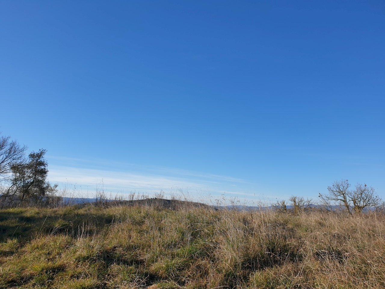 20190212_155421.jpg - Terreno edificabile vocabolo cerquelasce, Lugnano in Teverina - foto 1