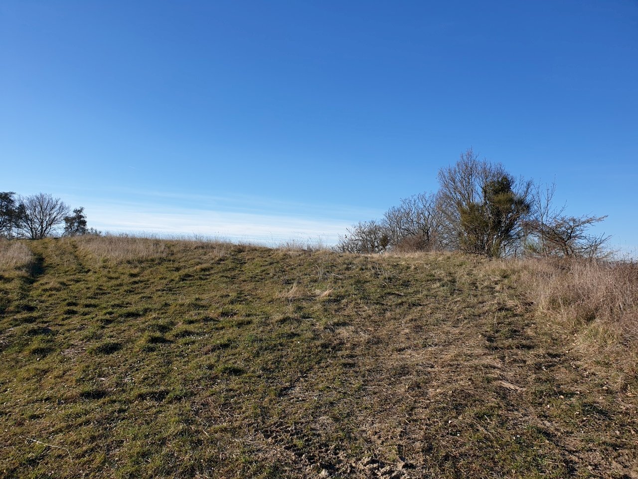 20190212_155340.jpg - Terreno edificabile vocabolo cerquelasce, Lugnano in Teverina - foto 3