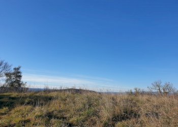 20190212_155421.jpg - Terreno edificabile vocabolo cerquelasce, Lugnano in Teverina - foto 1