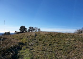 20190212_155339.jpg - Terreno edificabile vocabolo cerquelasce, Lugnano in Teverina - foto 2