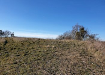 20190212_155340.jpg - Terreno edificabile vocabolo cerquelasce, Lugnano in Teverina - foto 3