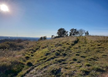 20190212_155348.jpg - Terreno edificabile vocabolo cerquelasce, Lugnano in Teverina - foto 4