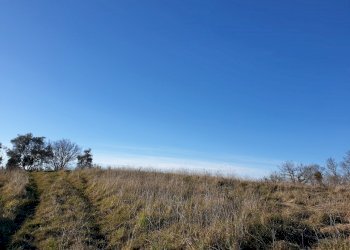 20190212_155401.jpg - Terreno edificabile vocabolo cerquelasce, Lugnano in Teverina - foto 6