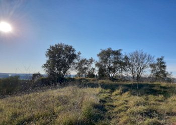 20190212_155420.jpg - Terreno edificabile vocabolo cerquelasce, Lugnano in Teverina - foto 7