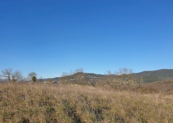 20190212_155424.jpg - Terreno edificabile vocabolo cerquelasce, Lugnano in Teverina - foto 8