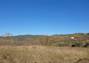 20190212_155426.jpg - Terreno edificabile vocabolo cerquelasce, Lugnano in Teverina - foto 9