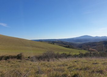 20190212_155429.jpg - Terreno edificabile vocabolo cerquelasce, Lugnano in Teverina - foto 10