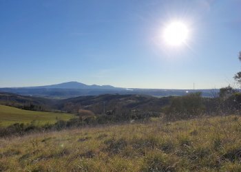 20190212_155431.jpg - Terreno edificabile vocabolo cerquelasce, Lugnano in Teverina - foto 11