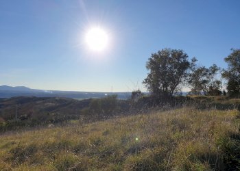 20190212_155433.jpg - Terreno edificabile vocabolo cerquelasce, Lugnano in Teverina - foto 12
