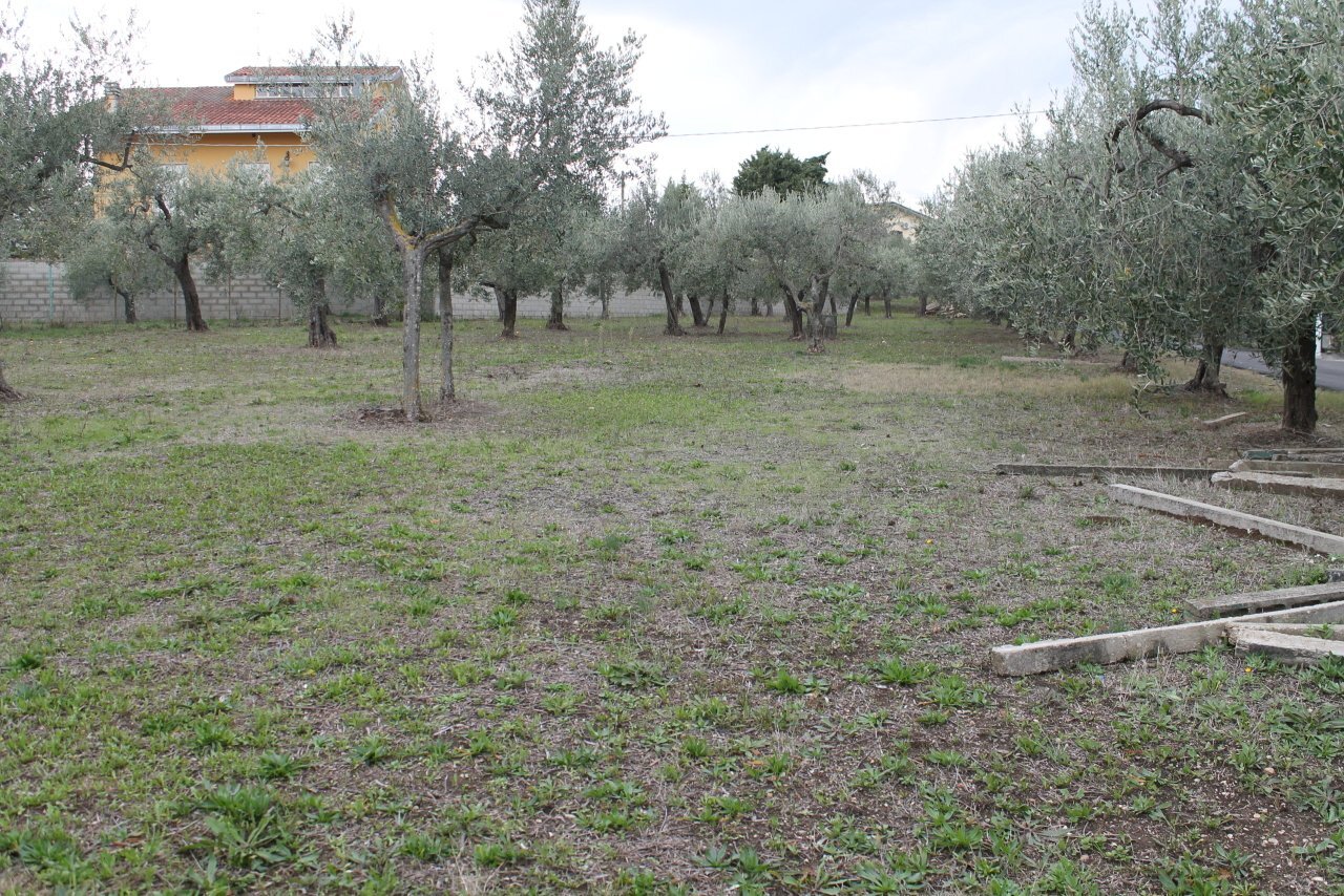 IMG_9840.JPG - Terreno agricolo Via Santa Croce snc, Lanciano - foto 2