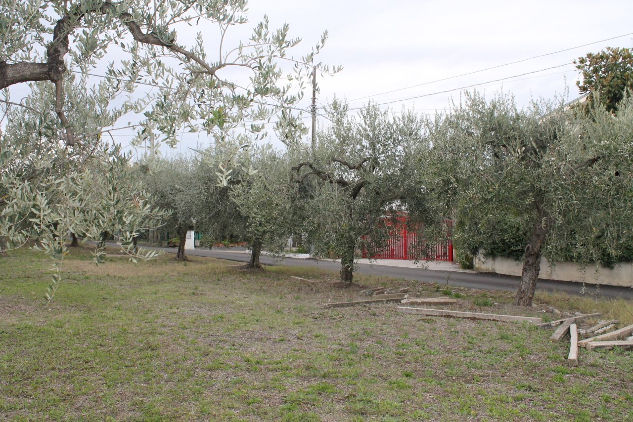 IMG_9841.JPG - Terreno agricolo Via Santa Croce snc, Lanciano - foto 3