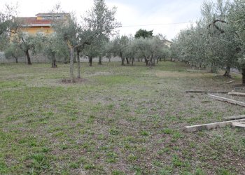 IMG_9840.JPG - Terreno agricolo Via Santa Croce snc, Lanciano - foto 2