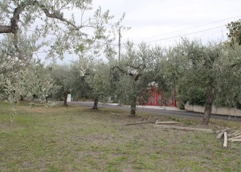 IMG_9841.JPG - Terreno agricolo Via Santa Croce snc, Lanciano - foto 3