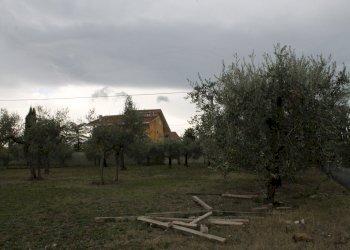 IMG_9845.JPG - Terreno agricolo Via Santa Croce snc, Lanciano - foto 7