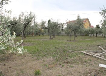 IMG_9846.JPG - Terreno agricolo Via Santa Croce snc, Lanciano - foto 8