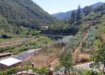 Independent house Via Roma 3, Isolabona - photo 4