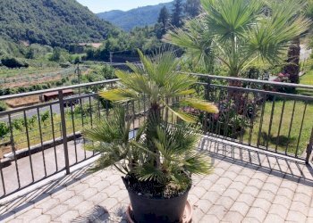 Independent house Via Roma 3, Isolabona - photo 5