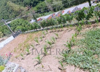 Independent house Via Roma 3, Isolabona - photo 7