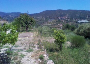 Terreno edificabile Via Gallina, Bordighera - foto 3
