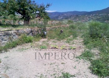 Terreno edificabile Via Gallina, Bordighera - foto 6