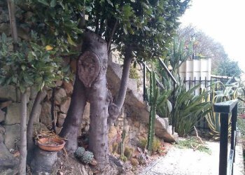 1_IMAG0194_1.jpg - Trilocale Via Hughes, Ventimiglia - foto 4