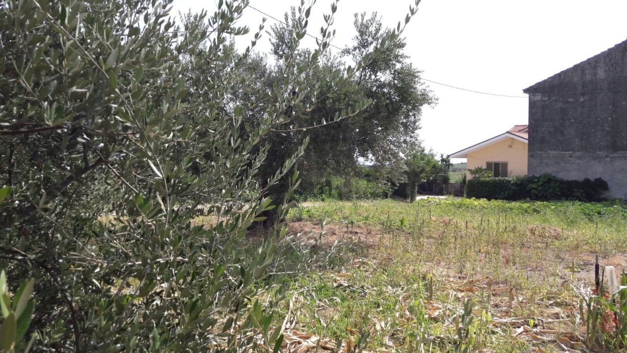 IMG-20171005-WA0009.jpg - Villa Ortona - foto 2