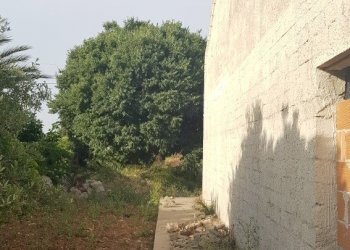 10.jpg - Rustico Modica - foto 8