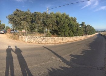 IMG_7440.JPG - Terreno edificabile Strada Provinciale 122 19a, Modica - foto 6