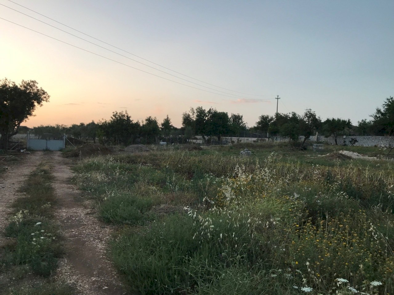 IMG_8579.jpg - Building land Modica - photo 2