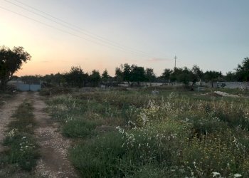 IMG_8579.jpg - Building land Modica - photo 2