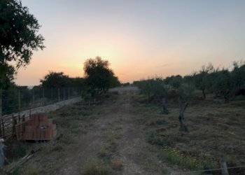 IMG_8580.jpg - Building land Modica - photo 3