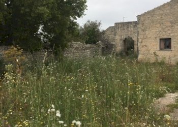 8.JPG - Casale Modica - foto 12