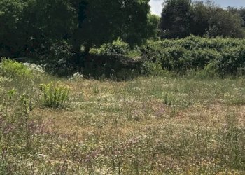 IMG_8160.jpg - Terreno agricolo Unnamed Road, Modica - foto 1