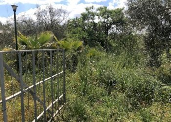 IMG_8153.jpg - Terreno agricolo Unnamed Road, Modica - foto 2