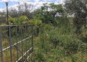 IMG_8154.jpg - Terreno agricolo Unnamed Road, Modica - foto 3