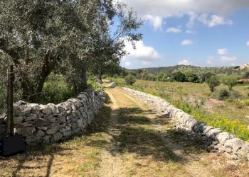IMG_8156.jpg - Terreno agricolo Unnamed Road, Modica - foto 5