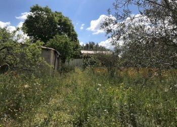 IMG_8159.jpg - Terreno agricolo Unnamed Road, Modica - foto 7