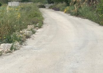 IMG_8162.jpg - Terreno agricolo Unnamed Road, Modica - foto 8