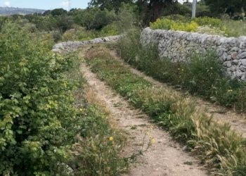 IMG_8163.jpg - Terreno agricolo Unnamed Road, Modica - foto 9