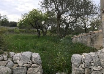 IMG_7837.jpg - Rustico Modica - foto 7