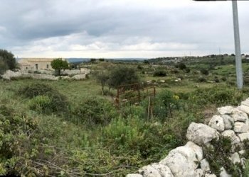 IMG_7845.jpg - Rustico Modica - foto 8