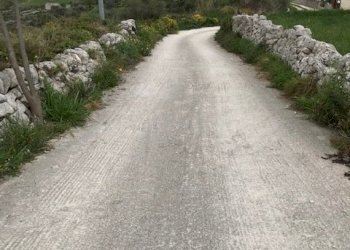 IMG_7844.jpg - Rustico Modica - foto 10