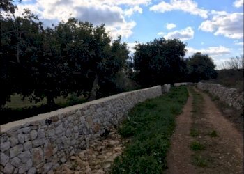 STRADA D\'ACCESSO - Rustico Modica - foto 7