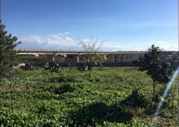 TERRENO - Rustico Modica - foto 9