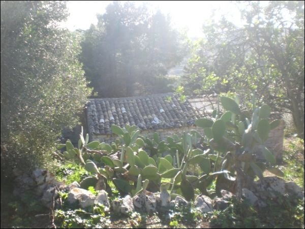 CIMG1826.JPG - Rustic Modica - photo 1