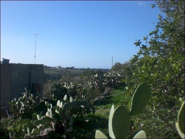 CIMG1827.JPG - Rustic Modica - photo 2