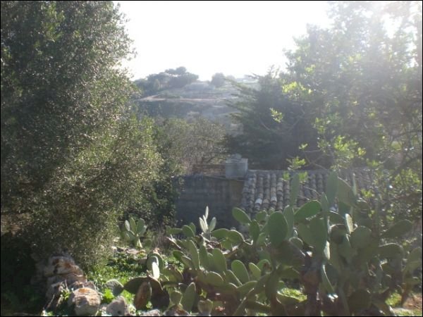 CIMG1828.JPG - Rustic Modica - photo 3