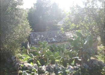 CIMG1826.JPG - Rustico Modica - foto 1