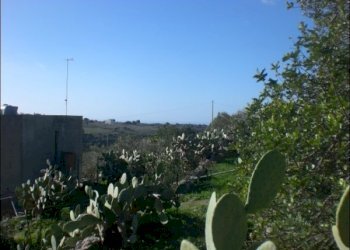 CIMG1827.JPG - Rustico Modica - foto 2